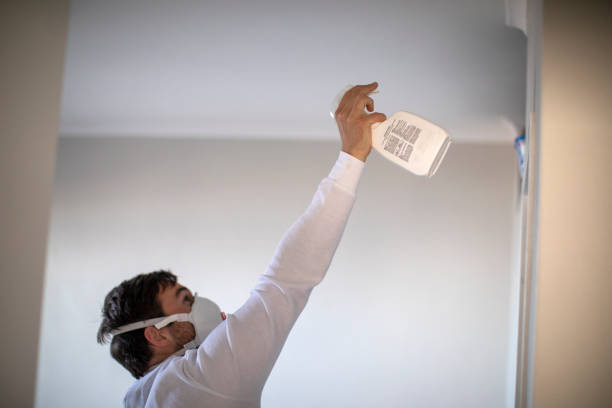 Best Basement Mold Remediation in Monticello, MN